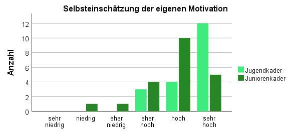 Florian Kurz - Motivationsformen im Orientierungslauf