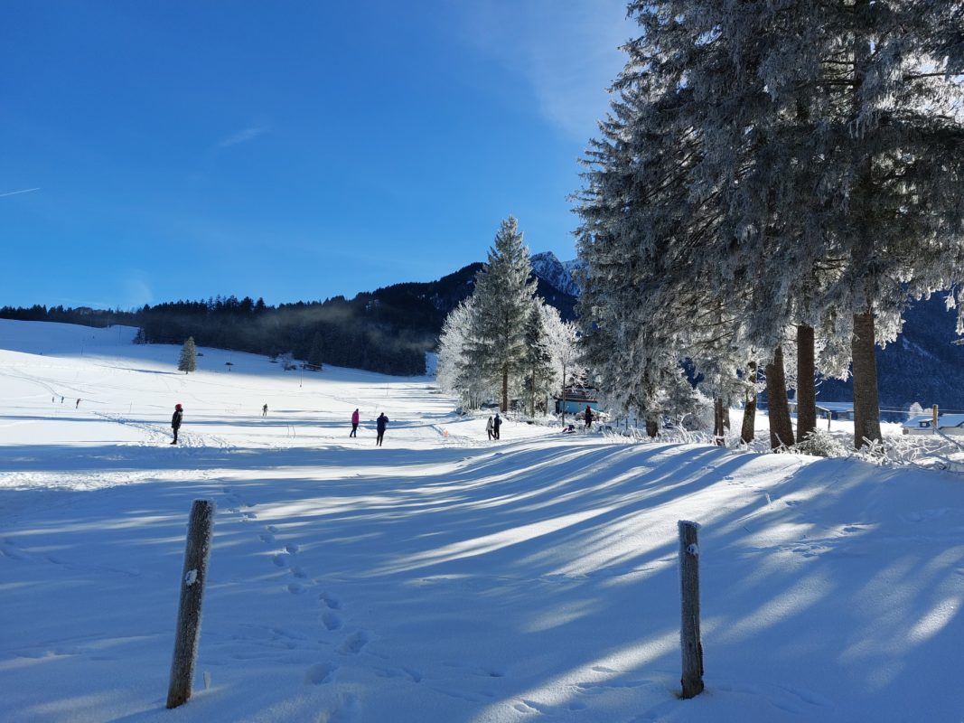 Ski-O Abtenau